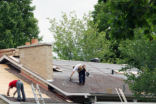 Best Roof Gutter Cleaning  in Lake Holiday, VA