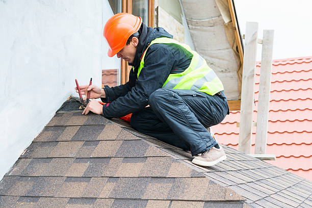 Best Roof Maintenance Services  in Lake Holiday, VA